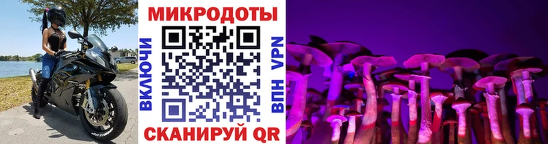 Галлюциногенные грибы Psilocybine cubensis Ачхой-Мартан